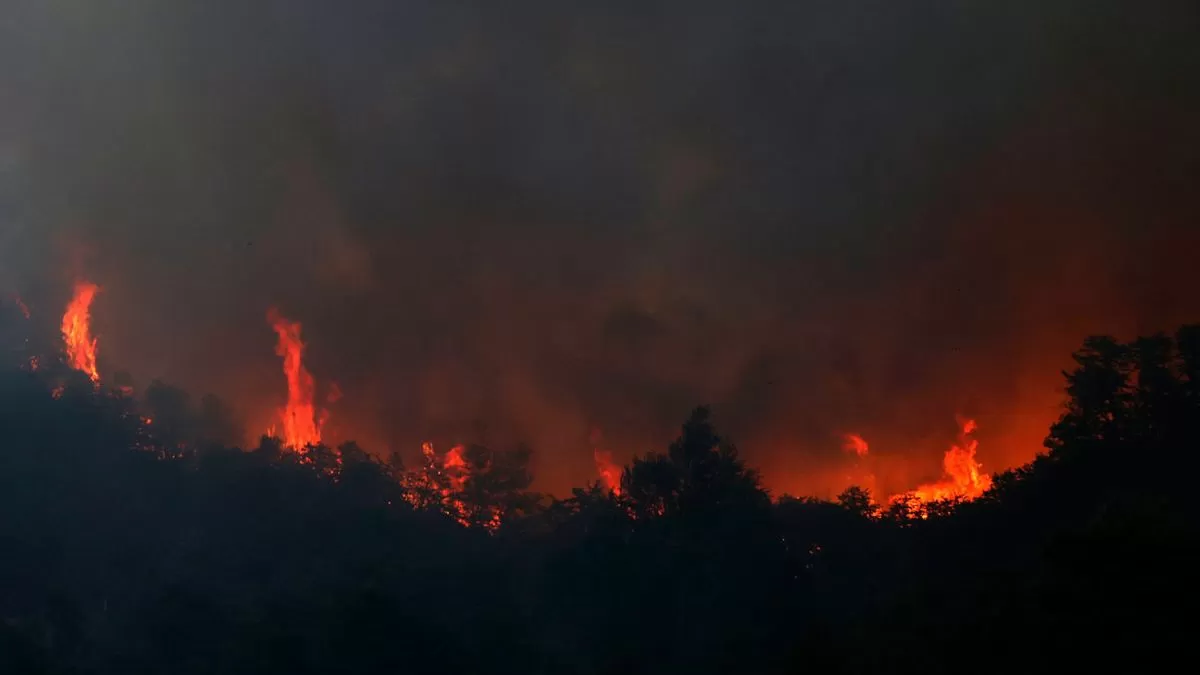 Está fuera de examen el principal incendio en La Patagonia argentina: lleva consumidas más de 5.500 hectáreas