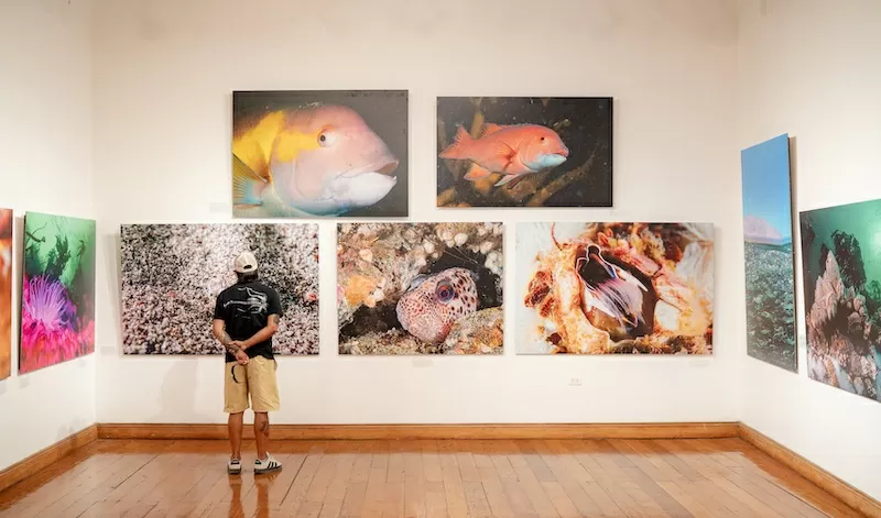 “Iquique, océano de Campeones” supera las 3 mil 700 visitas en su primer mes en Sala de Arte Casa Collahuasi