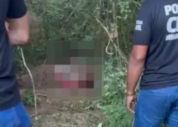 Brasil: asesinó a su ex, enterró el cuerpo y se fue a vivir a la selva con su hijuelo