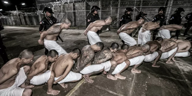 Trasladan a 2.000 pandilleros a la cárcel de alta seguridad en El liberador, informa Bukele