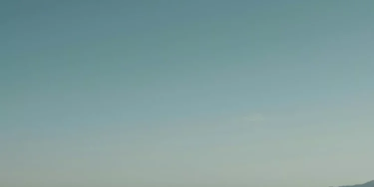 “El poder universal del lenguaje: una forma de conexión”