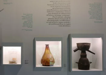 De víboras, sangrías, alambiques y hierbas: la medicina del Siglo de riqueza a través de Lope de Vega