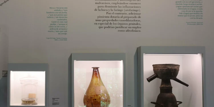 De víboras, sangrías, alambiques y hierbas: la medicina del Siglo de riqueza a través de Lope de Vega