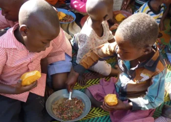 ONU: Más de 270.000 niños sufrirán desnutrición «nefasto» en seis países de África en 2024