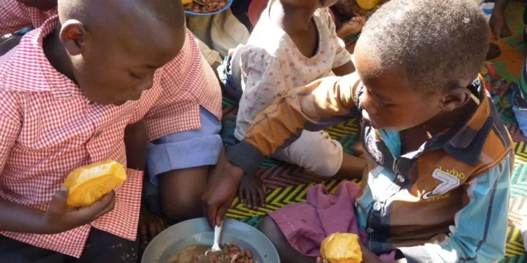 ONU: Más de 270.000 niños sufrirán desnutrición «nefasto» en seis países de África en 2024