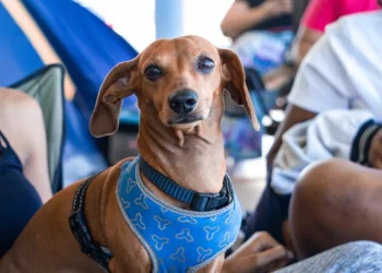 “La importancia de valorar la vida”