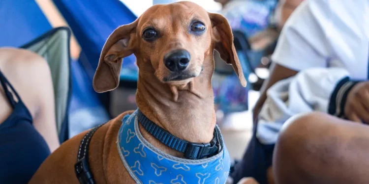 “La importancia de valorar la vida”