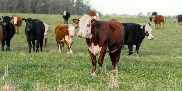 “La Economía: Pilar esencial para el progreso y bienestar”