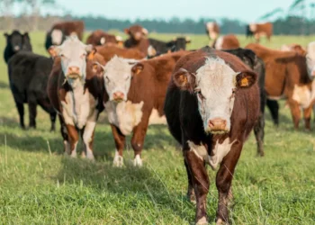 “El impacto de la Economía en el desarrollo mundial”