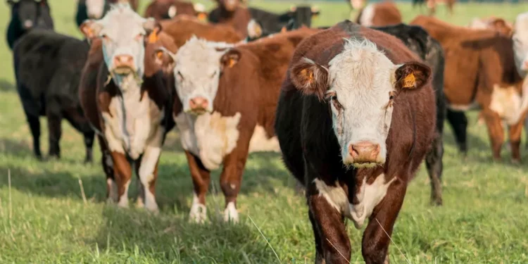 “El impacto de la Economía en el desarrollo mundial”