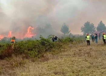 Perú decretó emergencia en tres regiones de la selva por incendios forestales