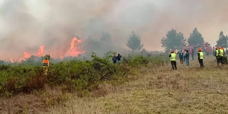 Perú decretó emergencia en tres regiones de la selva por incendios forestales