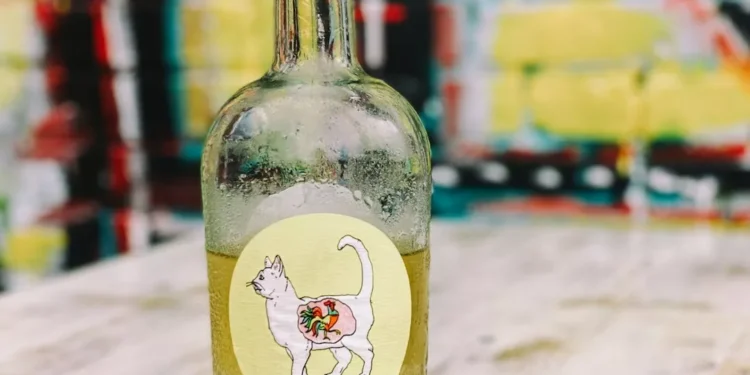 “La Importancia de la Felicidad en Nuestra Vida”