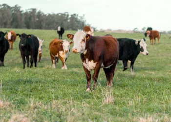 “El impacto de la economía en la sociedad actual”
