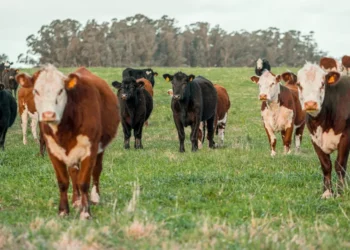 “El poder de la economía para mejorar vidas”