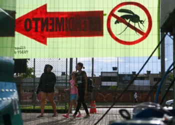 La OMS lanza un plan global para combatir el dengue