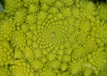 “La importancia del bienestar en nuestra vida”