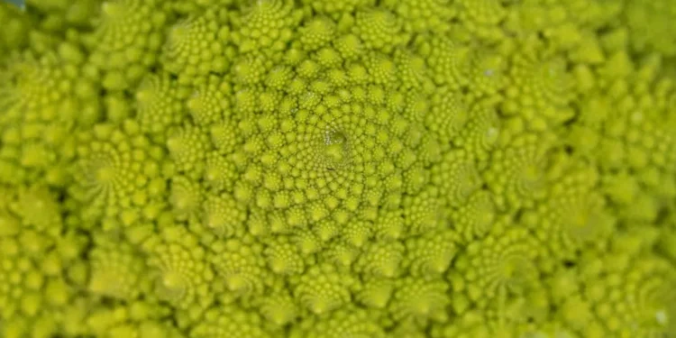 “La importancia del bienestar en nuestra vida”