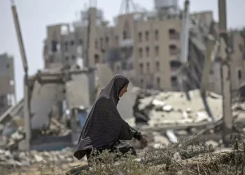 Guerra en la Franja de Gaza: cifra de muertos ya supera los 44.200