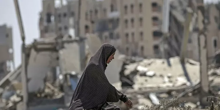 Guerra en la Franja de Gaza: cifra de muertos ya supera los 44.200