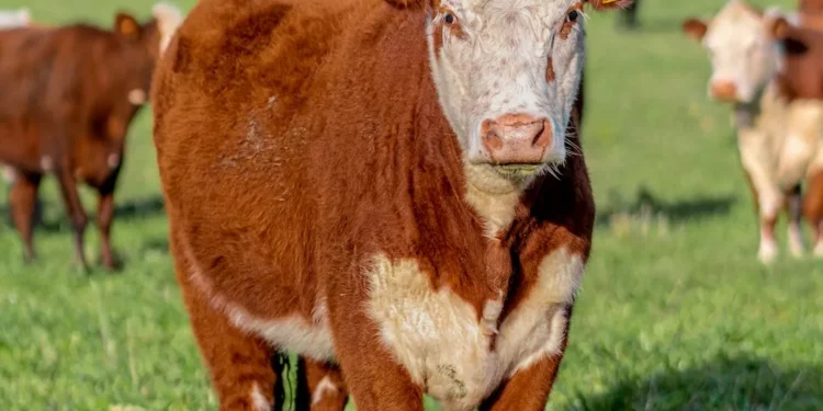 “La : Motor del progreso y bienestar social”