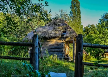 “Superando la crisis: Experiencias de crecimiento sostenible”