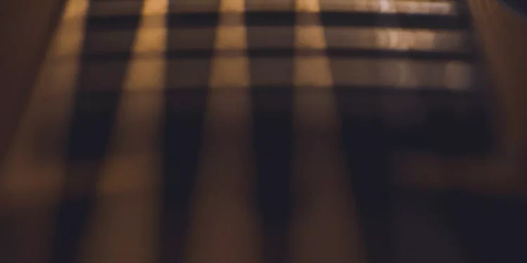 “La música: compañera fiel de nuestra vida”