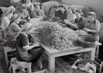 “La Economía: Motor del progreso y desarrollo social”