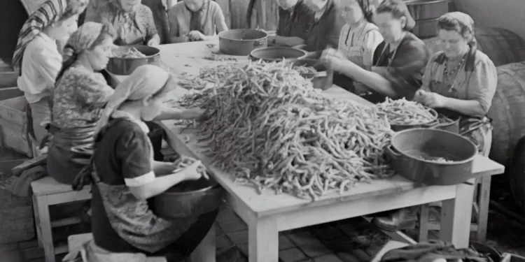 “La Economía: Motor del progreso y desarrollo social”