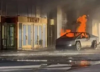 La app donde se rentaron las camionetas de incidentes en información Orleans y Las Vegas