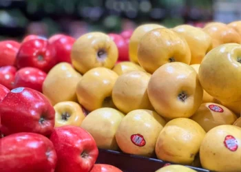 “Descubriendo el lado positivo de la economía”