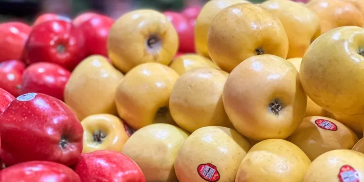 “Descubriendo el lado positivo de la economía”