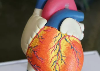 “La importancia  la felicidad en nuestra vida”