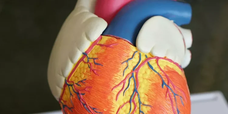 “La importancia  la felicidad en nuestra vida”