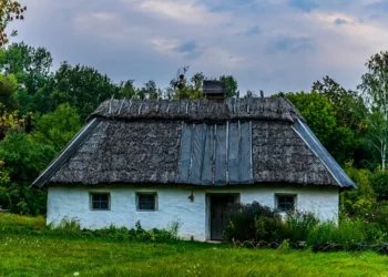 “Descubre el poder de la Economía en tu vida”