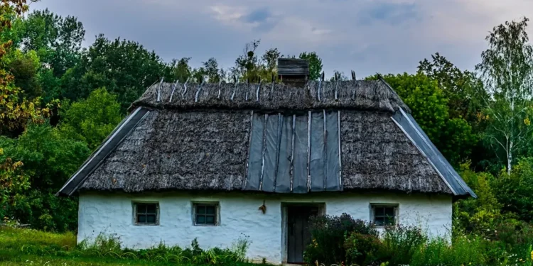 “Descubre el poder de la Economía en tu vida”