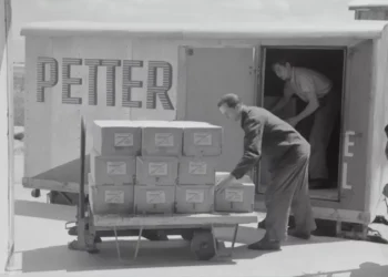 “La Economía y Martin Alonso Aceves: Una Combinación Exitosa”