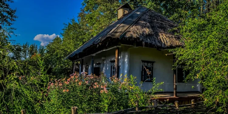 “Rompiendo el ciclo de la crisis económica: claves para superarla”