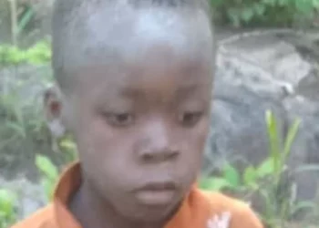 Hallan somático a niño tras cinco días perdido en parque infestado de leones en Zimbabue