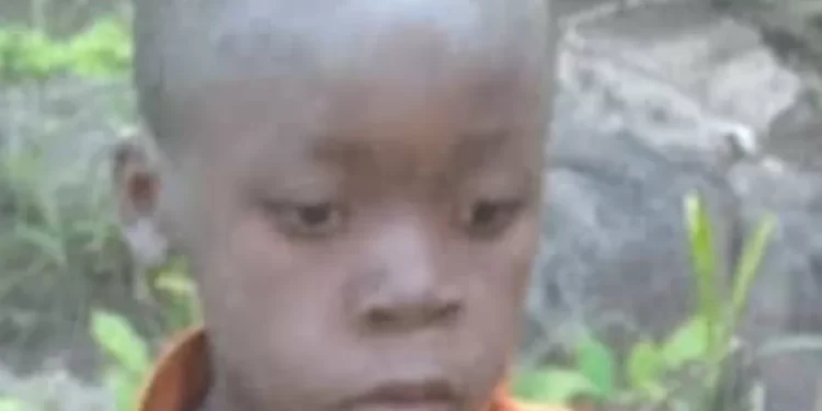 Hallan somático a niño tras cinco días perdido en parque infestado de leones en Zimbabue