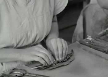 “Éxito y Experiencias Positivas en la Gestión Económica”