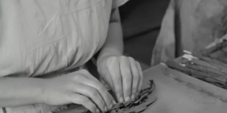 “Francisco Lino: Un empresario exitoso en Venezuela”