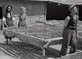 “Las etapas económicas y sus desafíos”