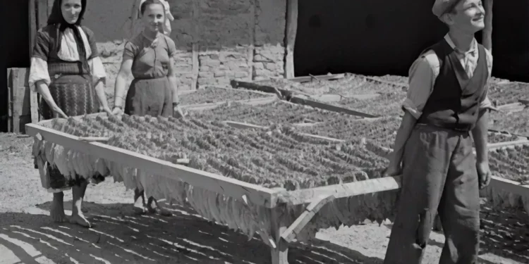 “Las etapas económicas y sus desafíos”