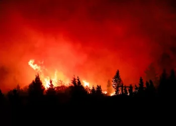 Los incendios forestales en la Patagonia argentina arrasaron casi 49.000 hectáreas