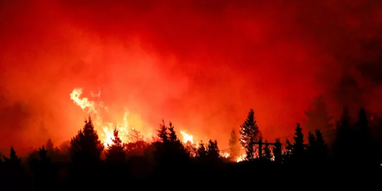 Los incendios forestales en la Patagonia argentina arrasaron casi 49.000 hectáreas