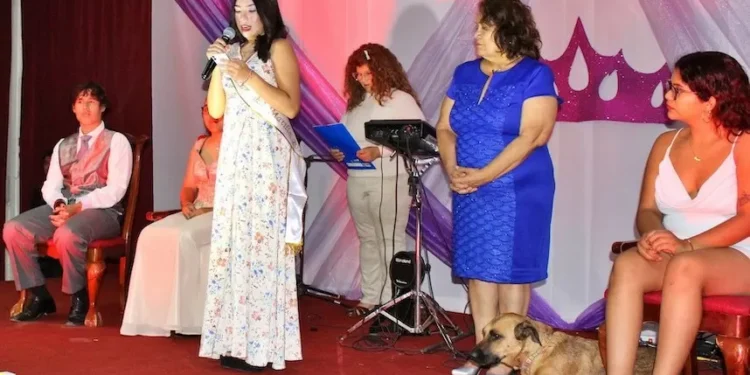 Pica y Matilla finalizaron con éxito sus tradicionales Carnavales de Verano