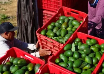 Los productos que subirán de importe con aranceles de EE. UU. a México, Canadá y China