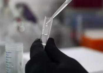 La fábrica antienvejecimiento avanza: estos son los fármacos con más posibilidades de éxito