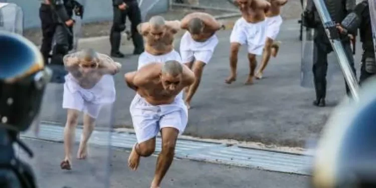 EE. UU. envía a cárcel de El emancipador a 238 presuntos miembros del Tren de Aragua